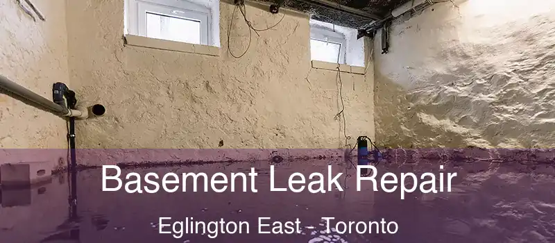  Basement Leak Repair Eglington East - Toronto