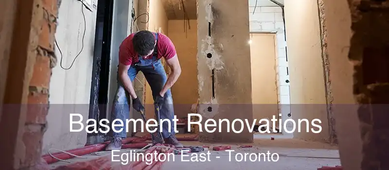  Basement Renovations Eglington East - Toronto