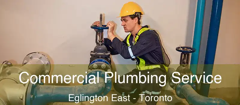  Commercial Plumbing Service Eglington East - Toronto