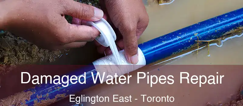  Damaged Water Pipes Repair Eglington East - Toronto
