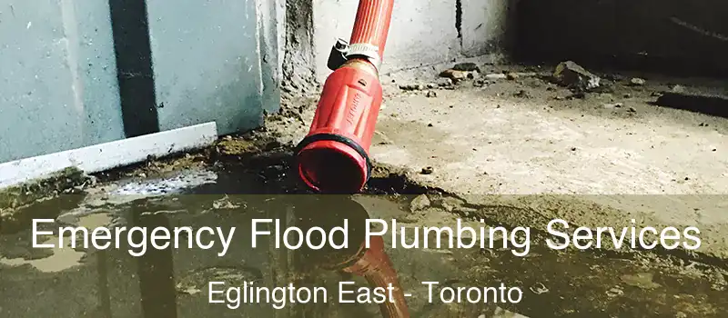  Emergency Flood Plumbing Services Eglington East - Toronto