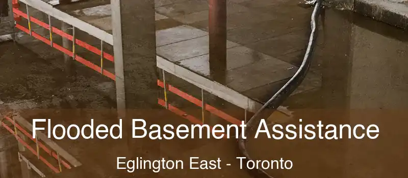  Flooded Basement Assistance Eglington East - Toronto