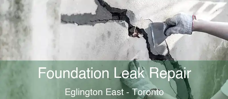  Foundation Leak Repair Eglington East - Toronto
