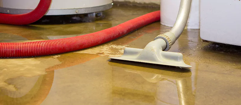 Professional Sewer Backup Cleanup Services in Eglington East, Toronto