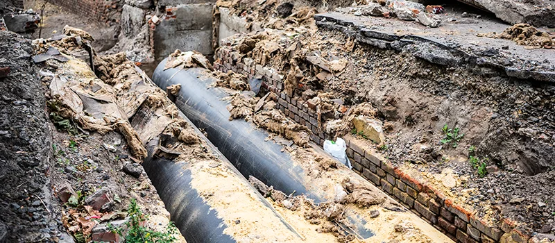 Commercial Sewer Tree Roots Damage Solutions in Eglington East, Toronto