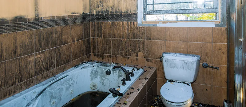 Residential Water Damage Restoration in Eglington East, Toronto