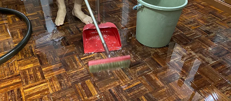 Water Removal And Restoration Services in Eglington East, Toronto