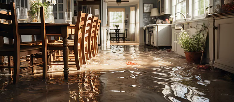 Flooded House Help Near Me in Eglington East, Toronto