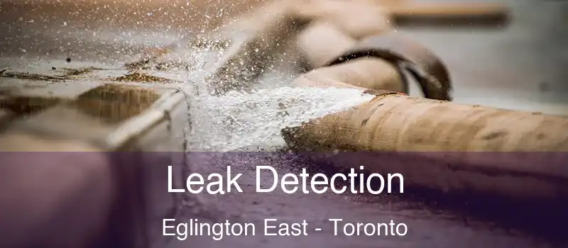  Leak Detection Eglington East - Toronto