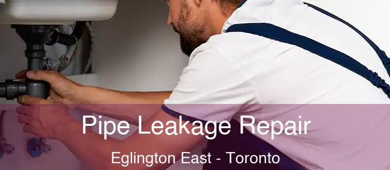  Pipe Leakage Repair Eglington East - Toronto