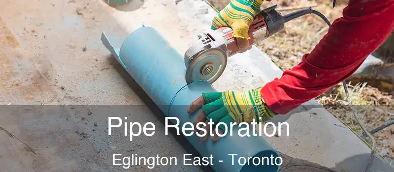  Pipe Restoration Eglington East - Toronto