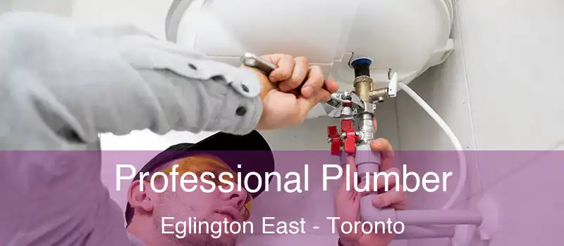  Professional Plumber Eglington East - Toronto