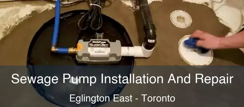  Sewage Pump Installation And Repair Eglington East - Toronto