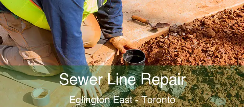  Sewer Line Repair Eglington East - Toronto
