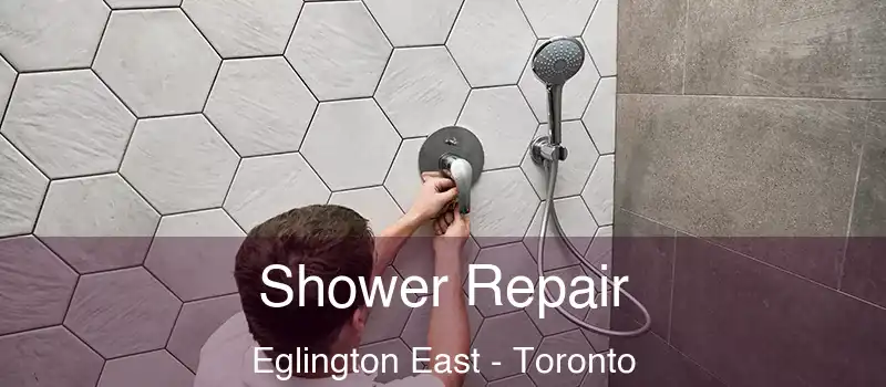  Shower Repair Eglington East - Toronto