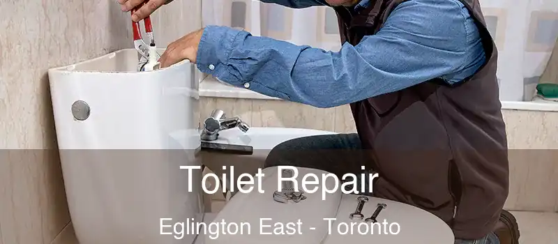  Toilet Repair Eglington East - Toronto