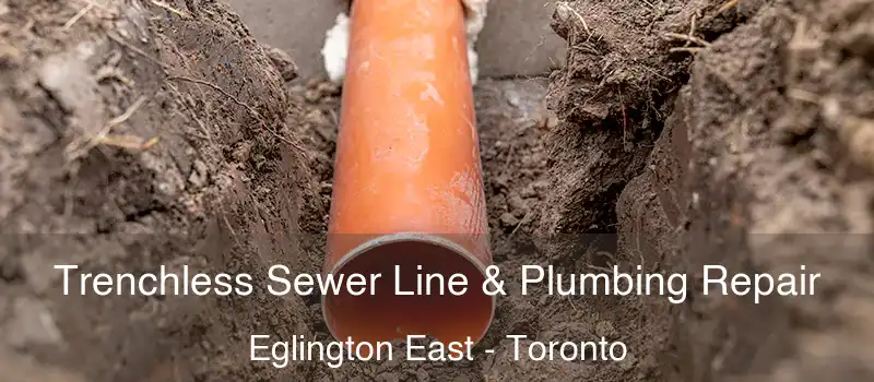  Trenchless Sewer Line & Plumbing Repair Eglington East - Toronto