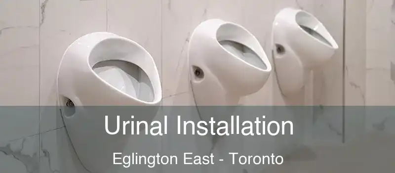  Urinal Installation Eglington East - Toronto