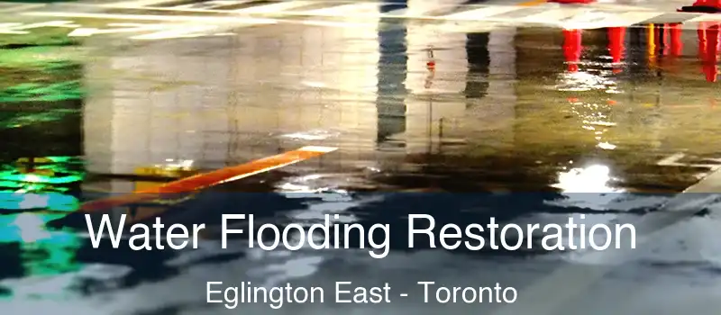  Water Flooding Restoration Eglington East - Toronto