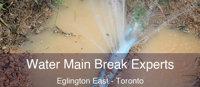  Water Main Break Experts Eglington East - Toronto