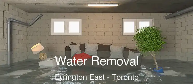  Water Removal Eglington East - Toronto