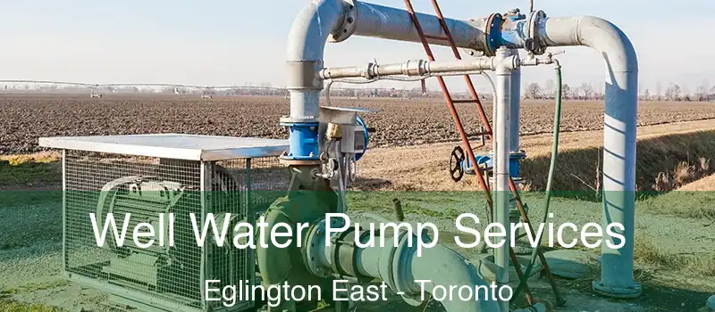  Well Water Pump Services Eglington East - Toronto